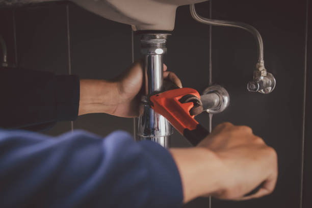 Best Clogged Drain Plumber  in Branchville, SC